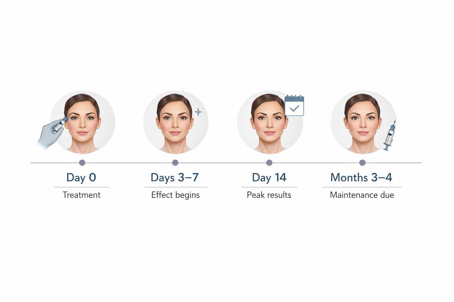Timeline infographic showing Botox brow lift results from treatment day to 3–4 month maintenance