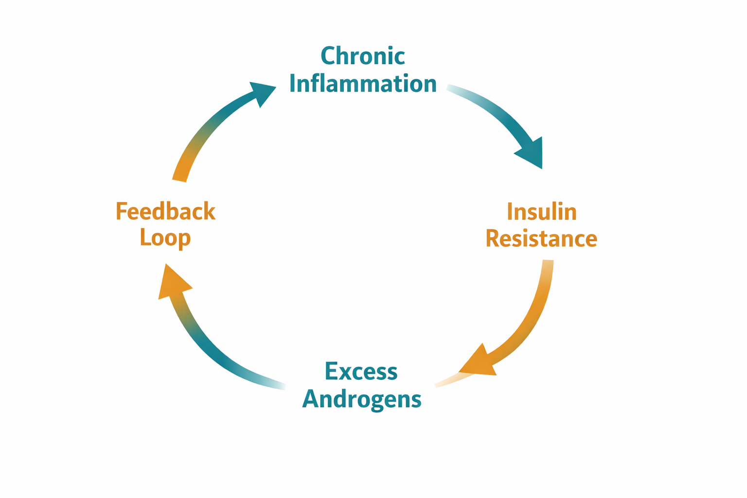 Infographic showing the inflammation and insulin resistance cycle in PCOS